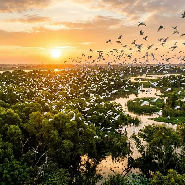 Đường dạo bộ ven sông