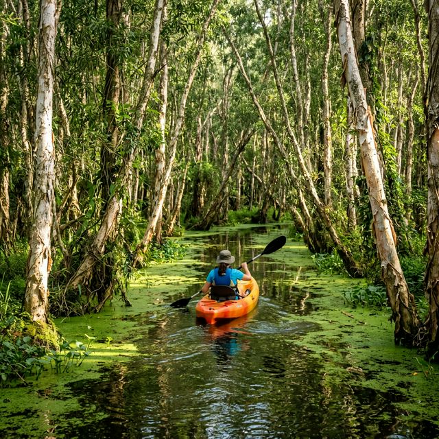 Chèo Kayak xuyên rừng tràm